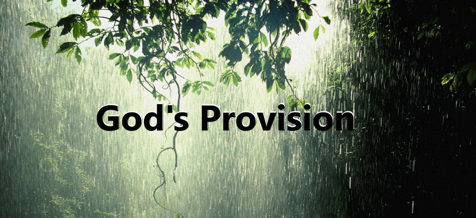 Gods Provision And Faithfulness Faith Practitioners